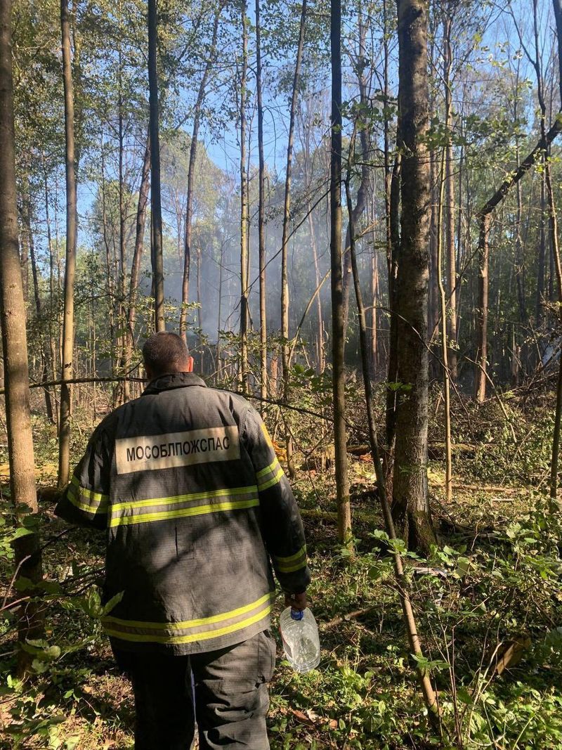 Avionul rusesc de pasageri, prăbușit în pădure