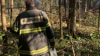 Avionul rusesc de pasageri, prăbușit &icirc;n pădure