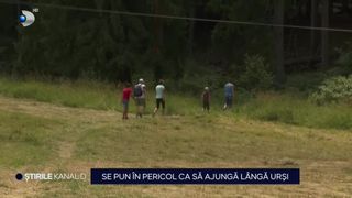 VIDEO &Icirc;și pun viața &icirc;n pericol pentru adrenalină. Oamenii caută urșii &icirc;n sălbăticie cu ghizi care doresc doar bani