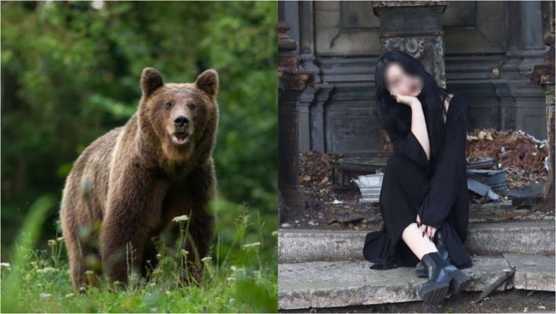 Cum schimbă deputații legea după atacul ursului ucigaș de la Jepii Mici