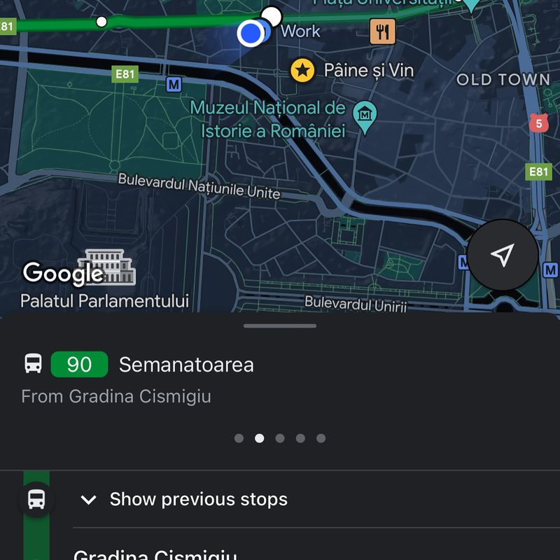 Google Maps conține informații despre mijloacele de transport din Capitală 