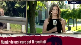 VIDEO Liber la vânătoare de urși! Legea a fost adoptată în Parlament