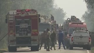 VIDEO Incendiu de proporții &icirc;n Brăila! Pădurea a fost făcută scrum