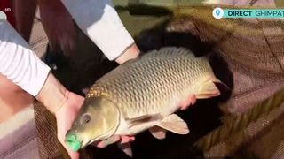 VIDEO Concurs de pescuit! Studenții se &icirc;ntrec &icirc;n capturi