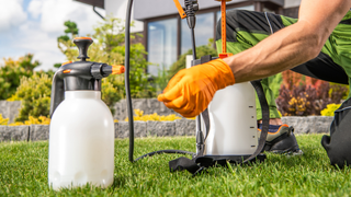 Insecticidele - Ce trebuie să știți despre utilizarea lor sigură și eficientă?