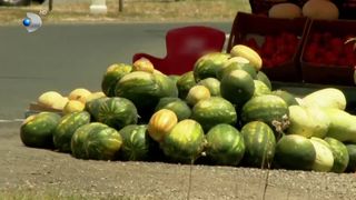 VIDEO Pepenii ținuți &icirc;n soare st&acirc;rnesc controverse! Ce reclamații au cumpărătorii 