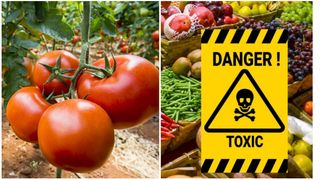 Ce fructe și legume sunt pline de pesticide.&nbsp;