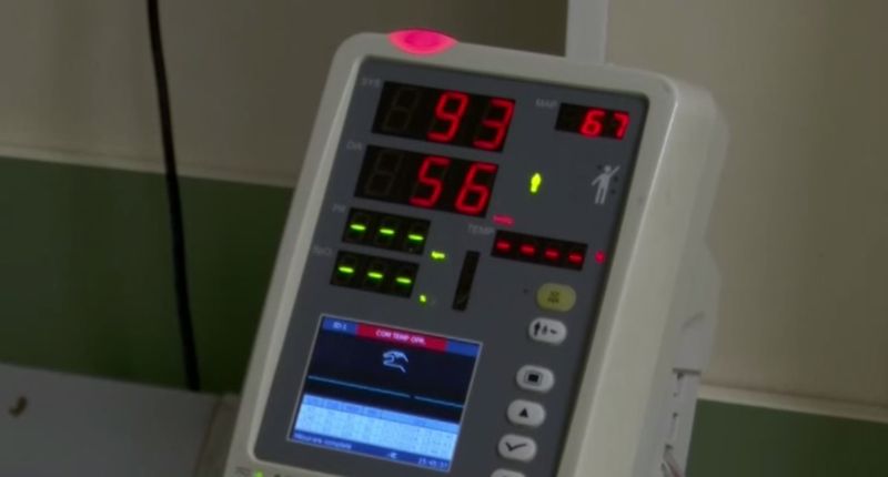 canicula, cod rosu, temperaturi extreme 