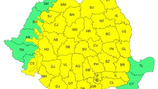 COD GALBEN de vijelii