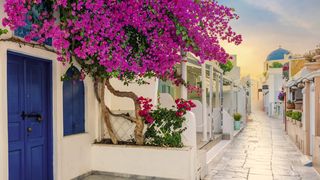 VIDEO Prețuri mai mari în Grecia! Cât costă anul acesta o vacanță peste hotare 