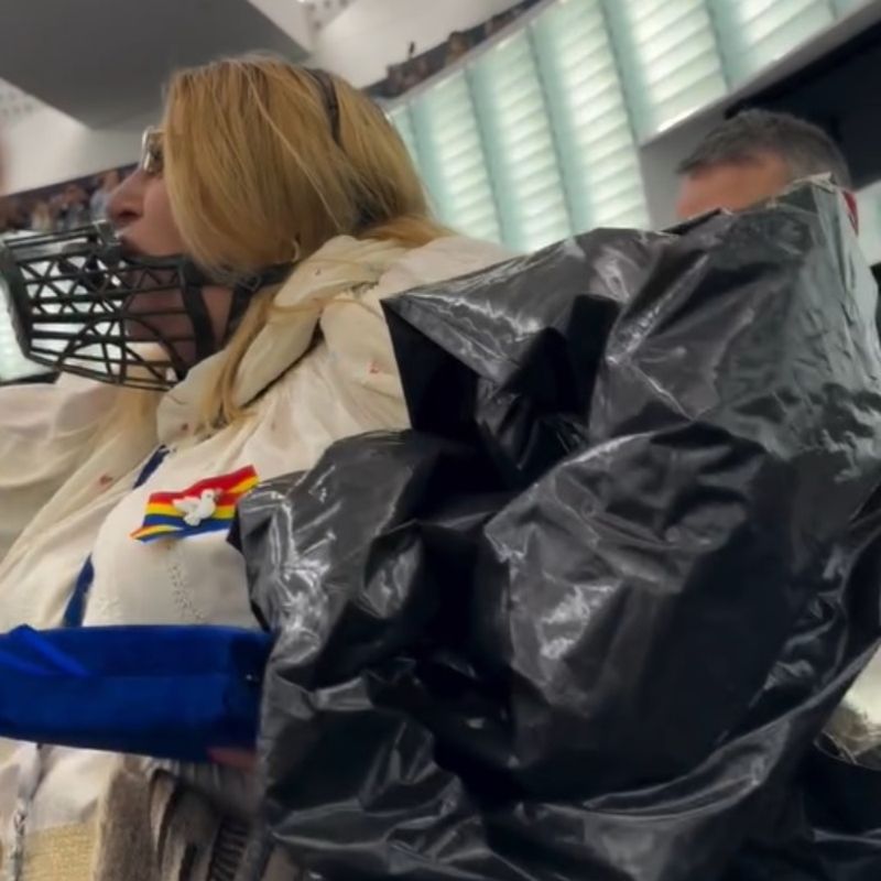 diana sosoaca scandal, parlamentul european, diana sosoaca  botnita 