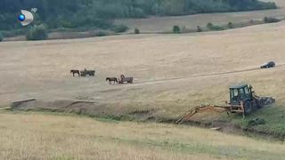 VIDEO Perioadele de secetă cer măsuri disperate! Românii au ajuns să caute apa cu lopata și buldozerul