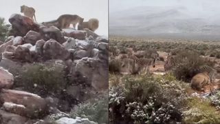 VIDEO A nins &icirc;n Africa de Sud! Imagini surprinzătoare din mai multe regiuni