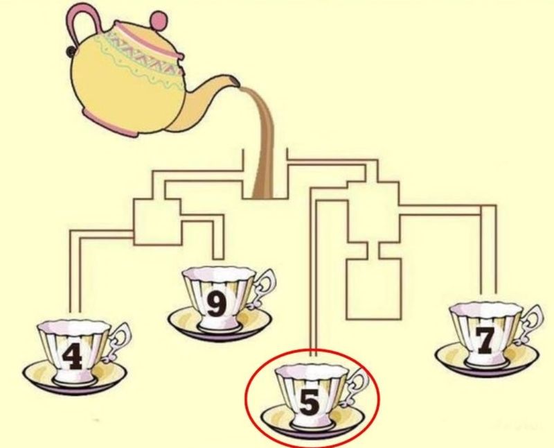 test iq, test inteligenta 