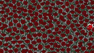 test iq, test atentie, flori, crab