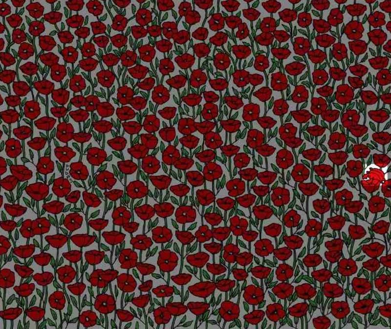 test iq, test atentie, flori, crab