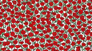 TEST de atenție: Doar cei cu ochi de vultur pot să găsească crabul care se ascunde între flori. Ai doar 15 secunde la dispoziție