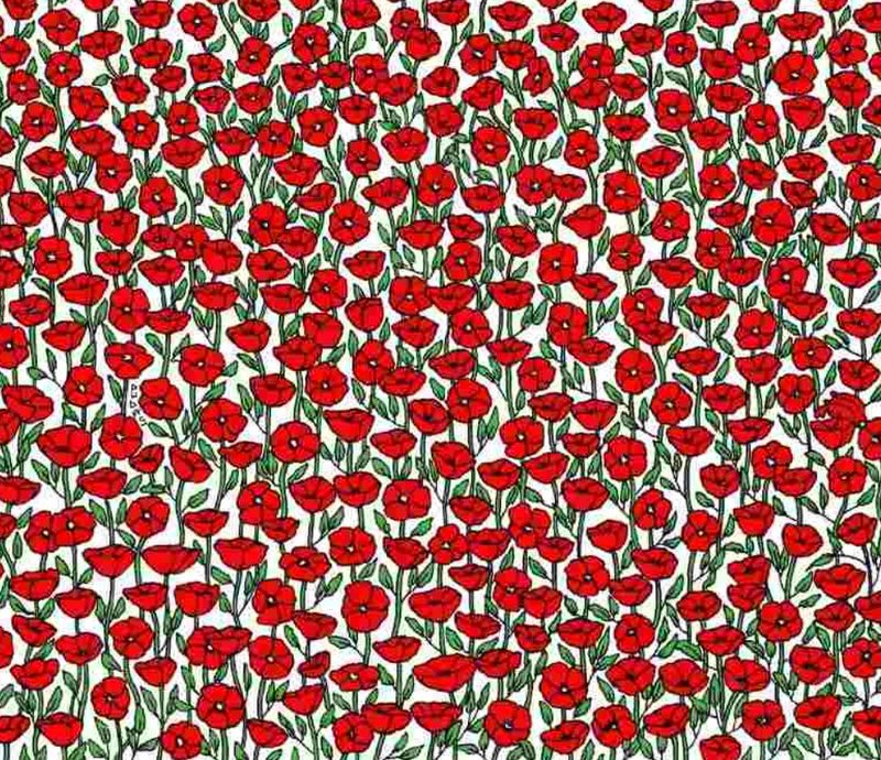 test iq, test atentie, flori, crab