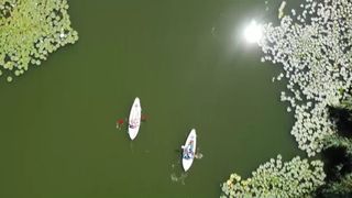 VIDEO Plimbările pe lac, o experiență inedită! Oamenii se pot relaxa &icirc;n natură foarte aproape de București