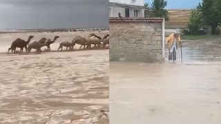 VIDEO Inundații extreme în Europa, grindină în deșert! Cămilele au trecut printr-un râu de gheață