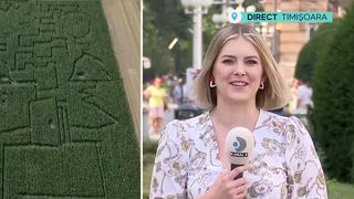 VIDEO Labirintul uriaș din lanul de porumb, noua atracție de la granița României! În cât timp poate fi parcurs?