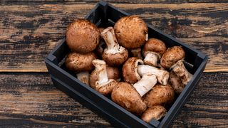 Ciuperci murate - rețetă