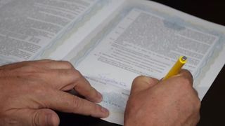 george simion, alegeri 2024 