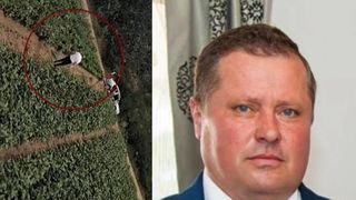 politician hot, vinete, furt 