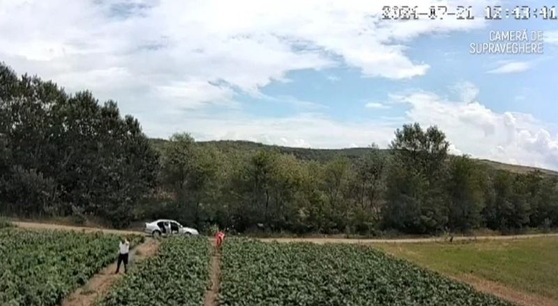 politician hot, vinete, furt 