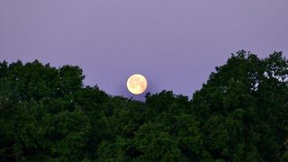 Fazele lunii &icirc;n august 2024: Pe ce dată avem Lună Nouă și Lună Plină?