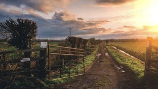 Vrei să ai propria fermă? Ce unelte &icirc;ți pot fi folositoare&nbsp;