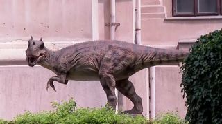 VIDEO Parcul cu dinozauri din București, închis de ANPC! Care au fost motivele din spatele acestei decizii?