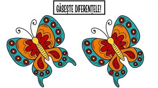 Test de perspicacitate: Reușești să descoperi 3 diferențe dintre cei doi fluturi în maximum 15 secunde?