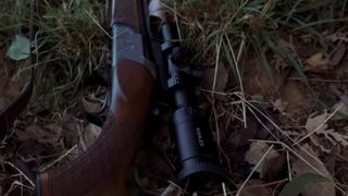 tanar mort, timis, impuscat 