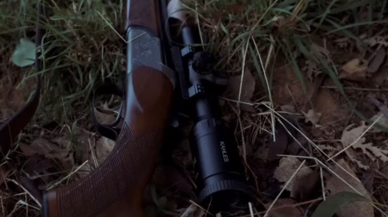 tanar mort, timis, impuscat 