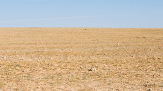 VIDEO A zăcut în câmp și a ajuns la spital cu hipertermie! Canicula continuă să „trimită” oameni la urgențe