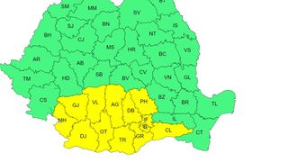 cod galben, vijelii, canicula 