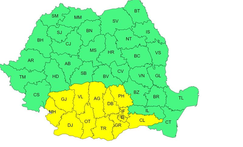 cod galben, vijelii, canicula 