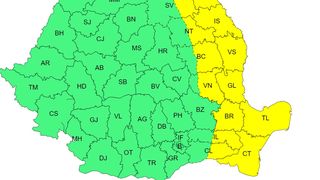 cod galben, vijelii, canicula 