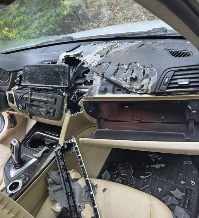 ursoaica, pui ursi, masina distrusa, sua 