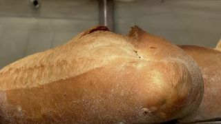 VIDEO Seceta scumpește pâinea cea de toate zilele! Specialiștii se tem pentru siguranța alimentară