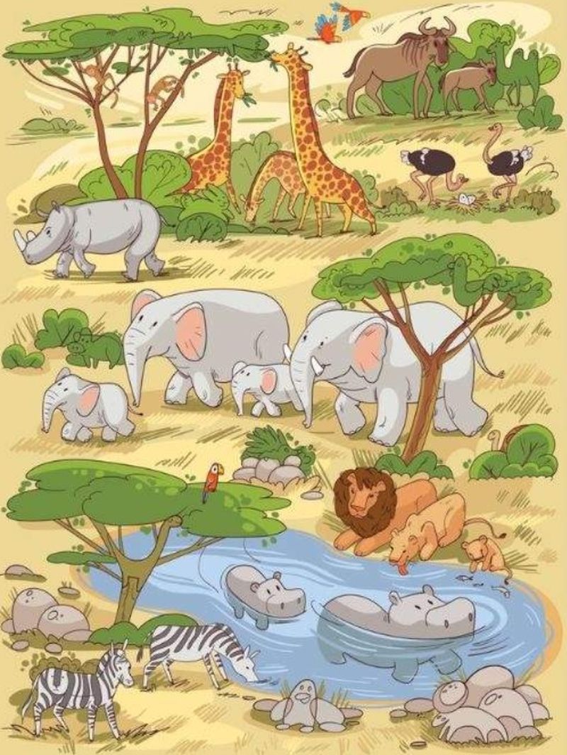 test iq, test atentie, timp limitat 