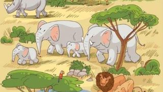 Test de atenție: Poți să găsești țestoasa din imagine &icirc;n doar 15 secunde? Doar cele mai inteligente persoane reușesc