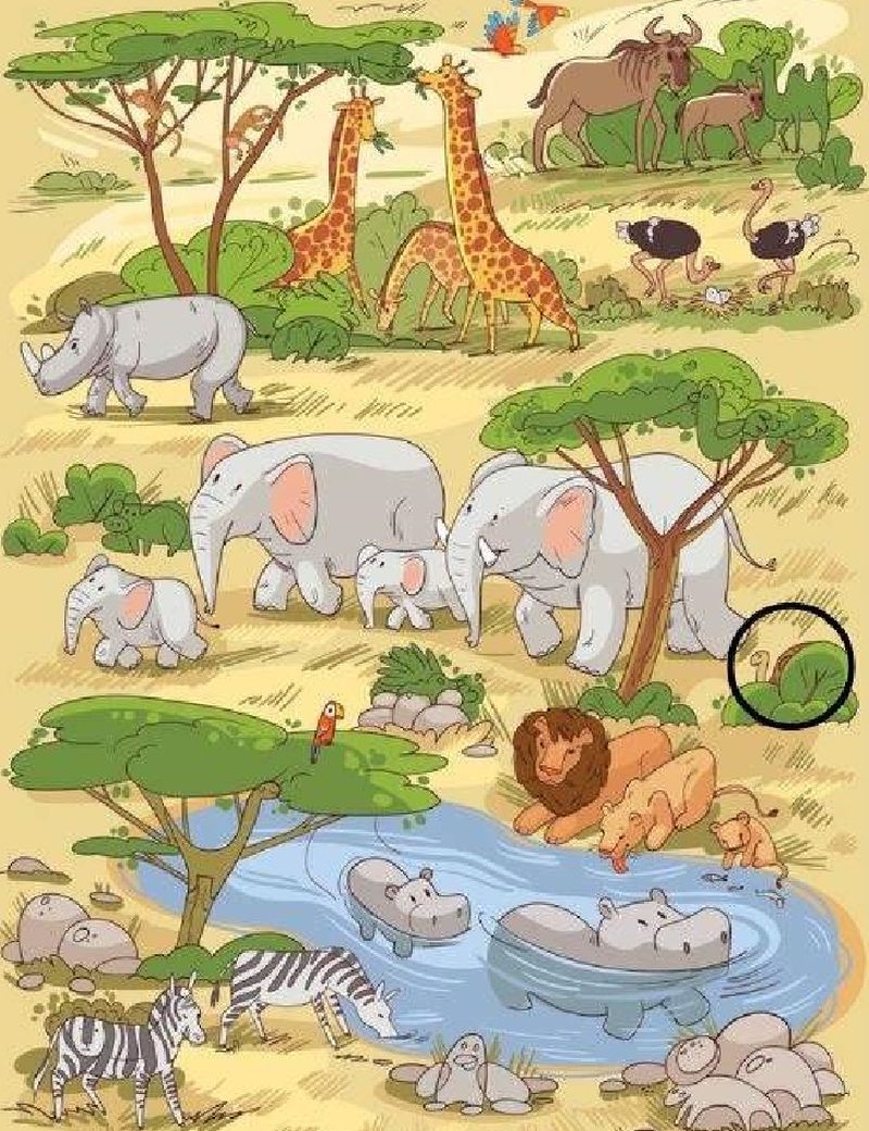 test iq, test atentie, timp limitat 