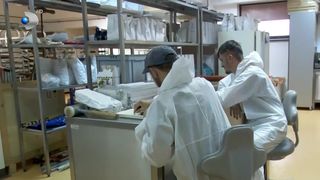 VIDEO Program de internship pentru studenți! Tinerii pot acumula experiență &icirc;ncă din timpul facultății