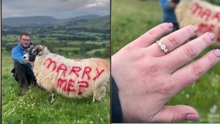 VIDEO Cerere în căsătorie cu ajutorul unui animal! Un britanic a devenit viral pe internet