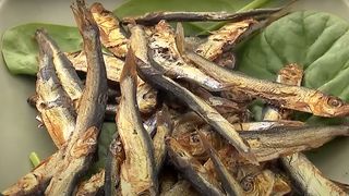 hamsie, preturi litoral, litoral romanesc 