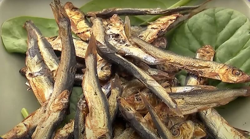 hamsie, preturi litoral, litoral romanesc 