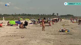 VIDEO Plaja Corbu, asaltată de turiști! Tot mai mulți vizitatori preferă liniștea și peisajul superb de aici