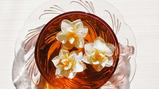 Ceaiul de iasomie poate face minuni! Are o mulțime de beneficii de care multă lume nu știe